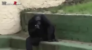 🚬