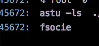👩‍💻