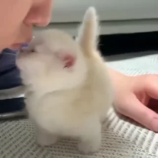 💋