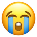 😭