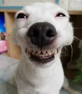 🤓