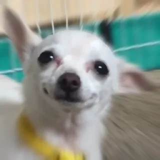 🥴