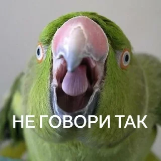 😶