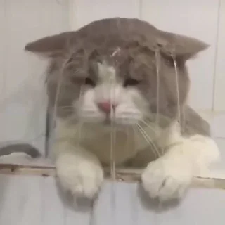 😭