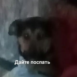 😴