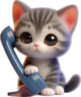 📞