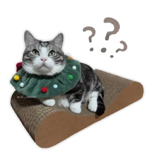 ❓