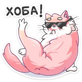 😎