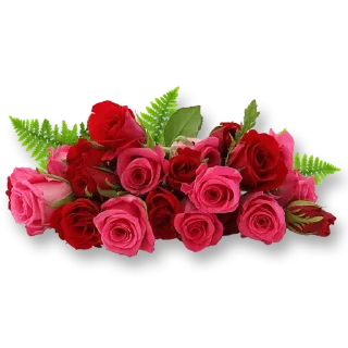 🌹