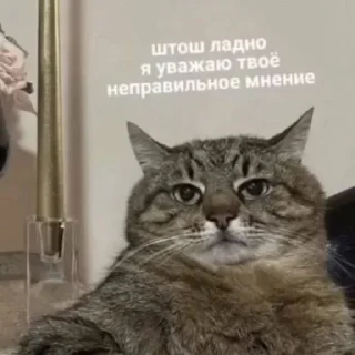 👎