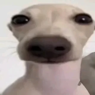 🙂