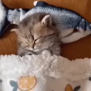 💕
