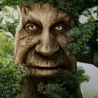🌳