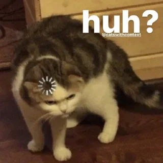 ❓