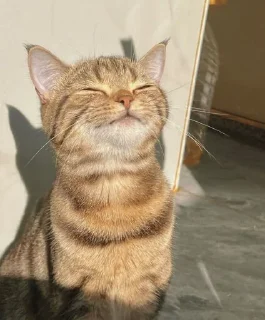😌