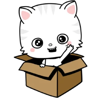 🐱