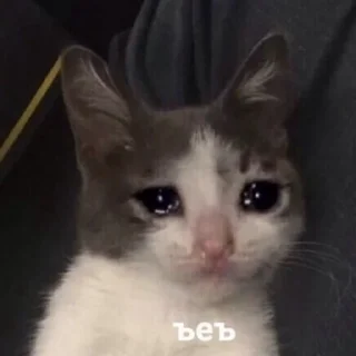 😢