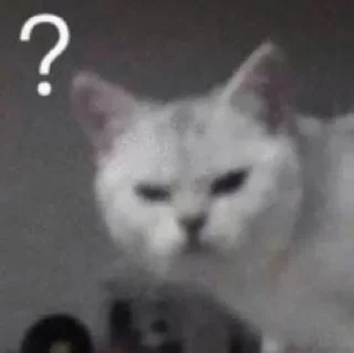 ❔