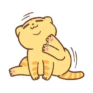 🐱