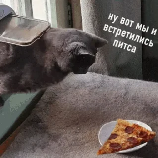 🍕