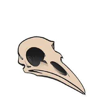 💀