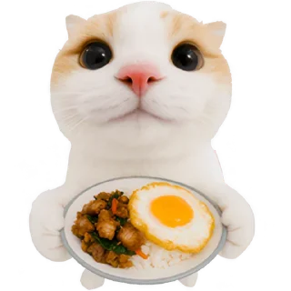 🍳