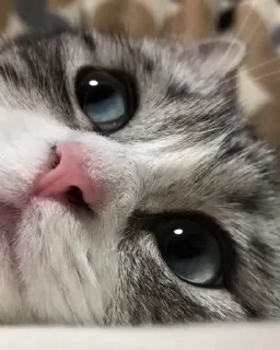 👀