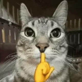 🤫