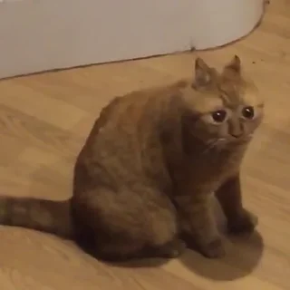 😳