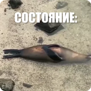 🤯