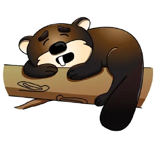 😴
