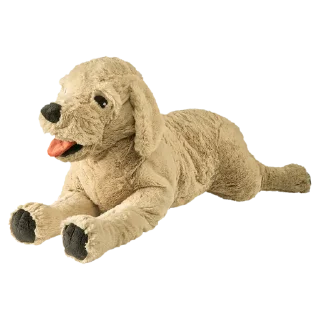 🐕