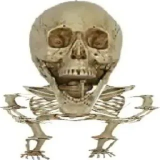 💀