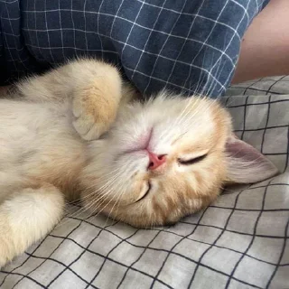 😋