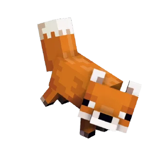 🦊