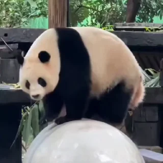 🤗