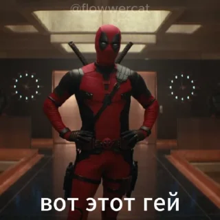 🏳️‍🌈