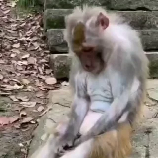 😔