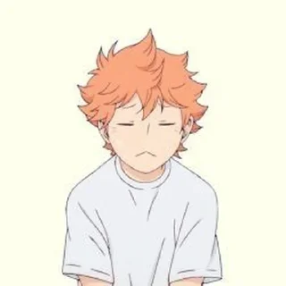 🍊