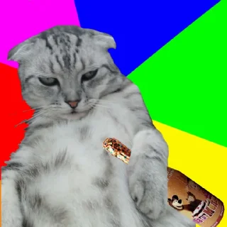 🐱