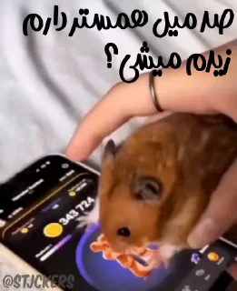 🥹