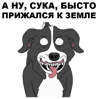 🙇‍♀️