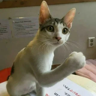 👊