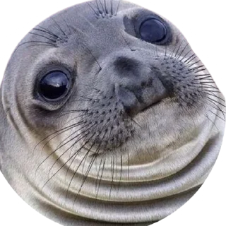 🫤