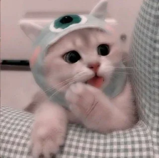 🥺