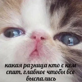🧐