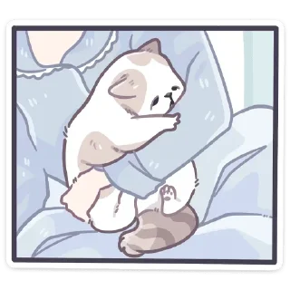 😴