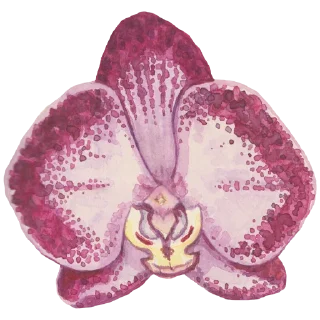 🌸