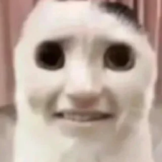 😬