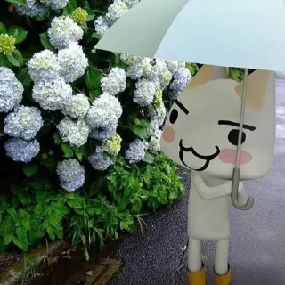 🌧️